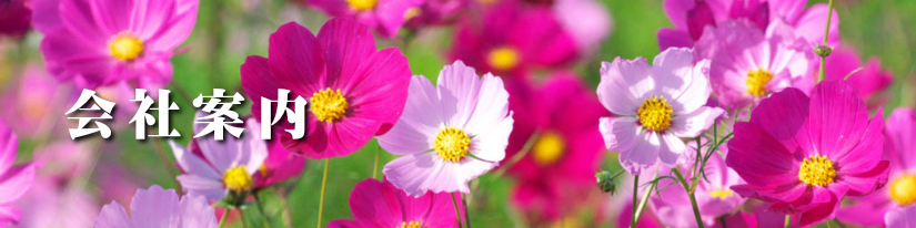 会社案内