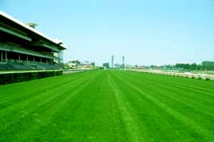 緑化資材イメージ写真