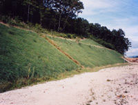 ノーザイソイル施工後