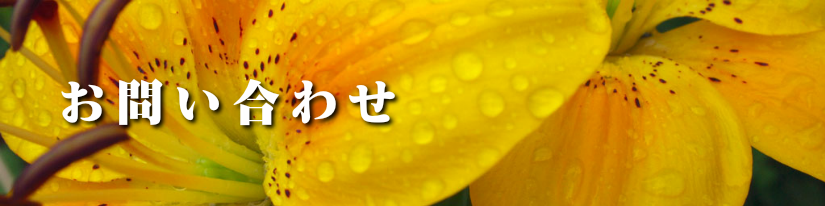 お問い合わせ
